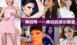 明星辣妈爆料离婚视频,视频揭露婚姻破裂内幕